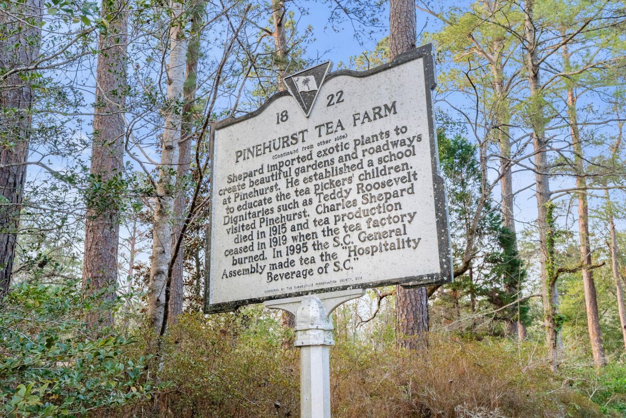 100 W Walker Drive Photo 97