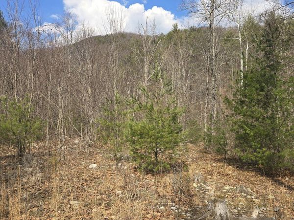 2280 Jennings RD , Shawsville, VA 24162