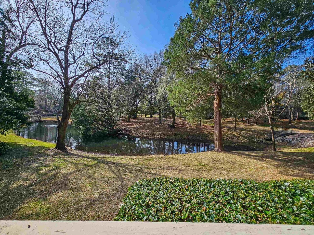 226 Westleton Dr.  Photo 4