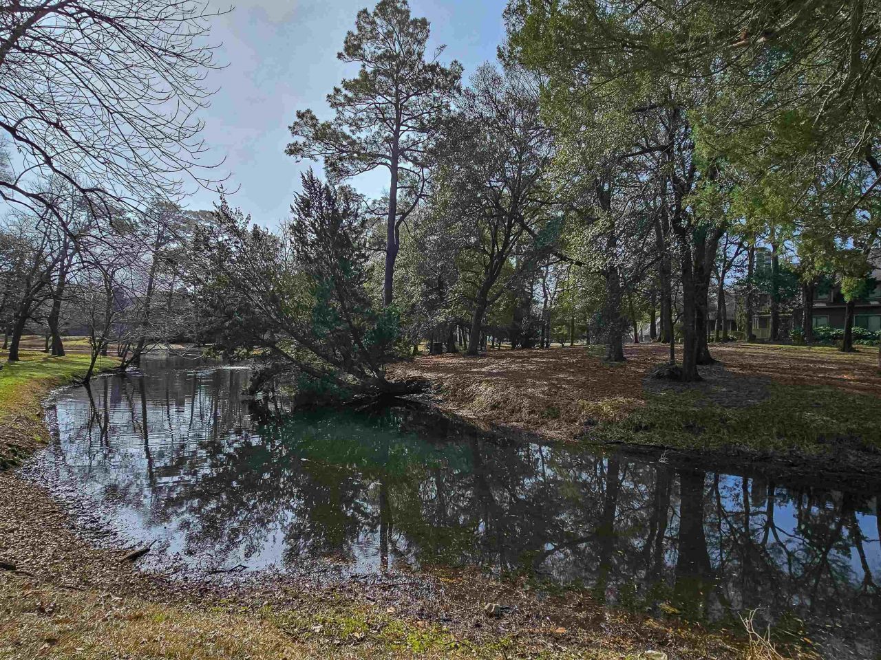 226 Westleton Dr.  Photo 5