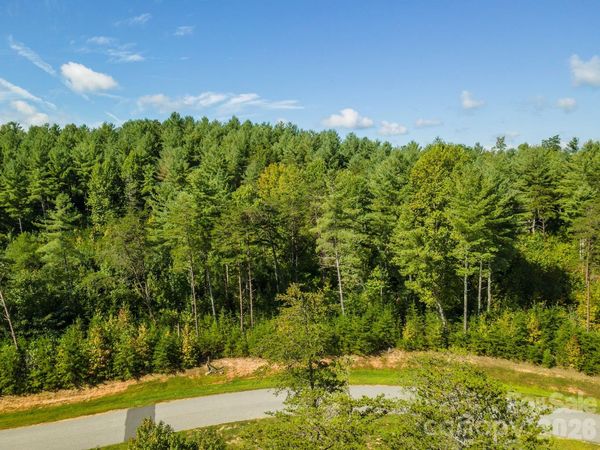 254 Peninsula Reserve Road , Nebo, NC 28761