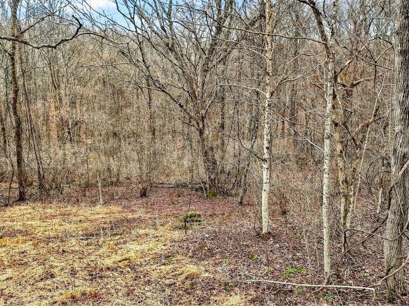 0 Rocky Fork Road, Logan, OH 43138 Photo 10