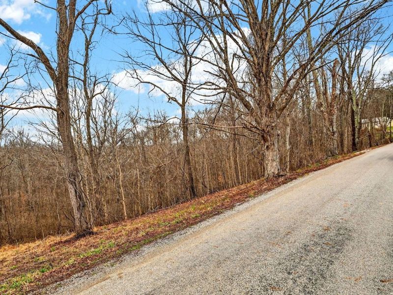 0 Rocky Fork Road, Logan, OH 43138 Photo 12