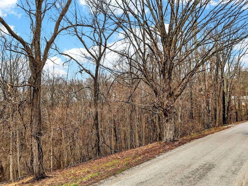 0 Rocky Fork Road, Logan, OH 43138 Photo 5