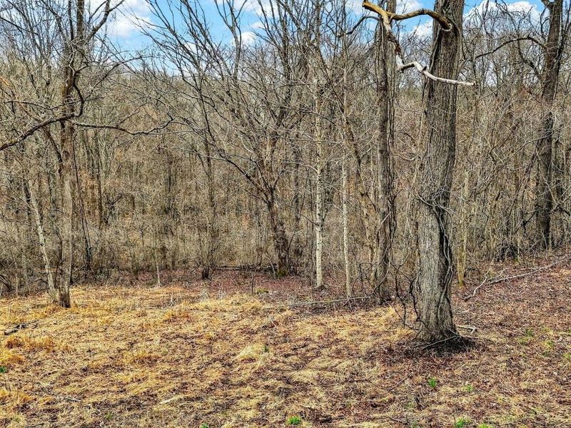 0 Rocky Fork Road, Logan, OH 43138 Photo 9