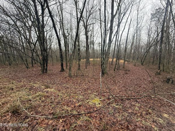 551 Cliff Park Rd, Monterey, TN 38574