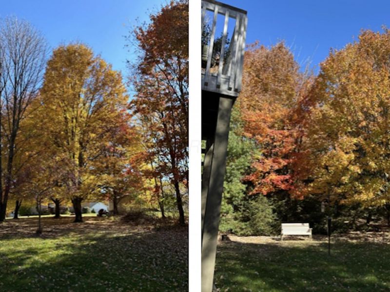 2568 Apple Valley Drive , Howard, OH 43028 Photo 38