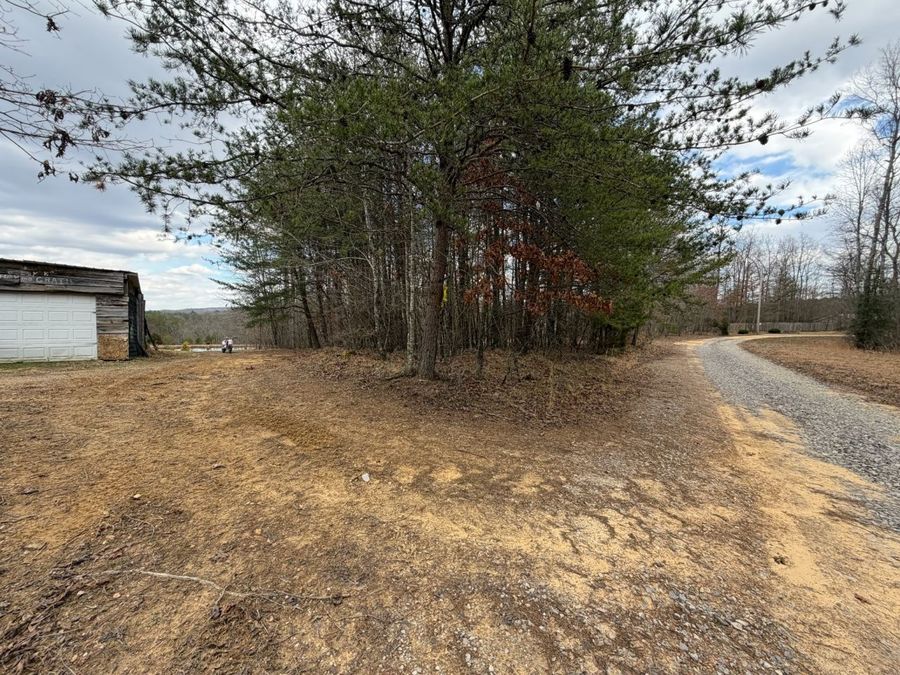 Property Image 69