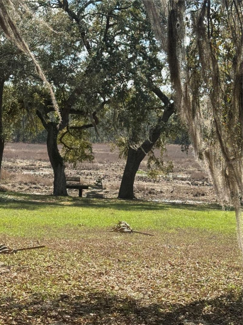 17645 NE 61st Street Road, Silver Springs, FL 34488 Photo