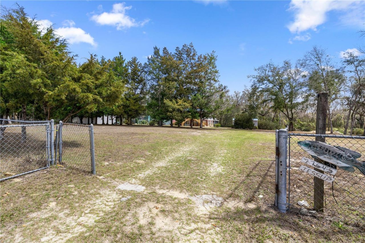 17645 NE 61st Street Road, Silver Springs, FL 34488 Photo