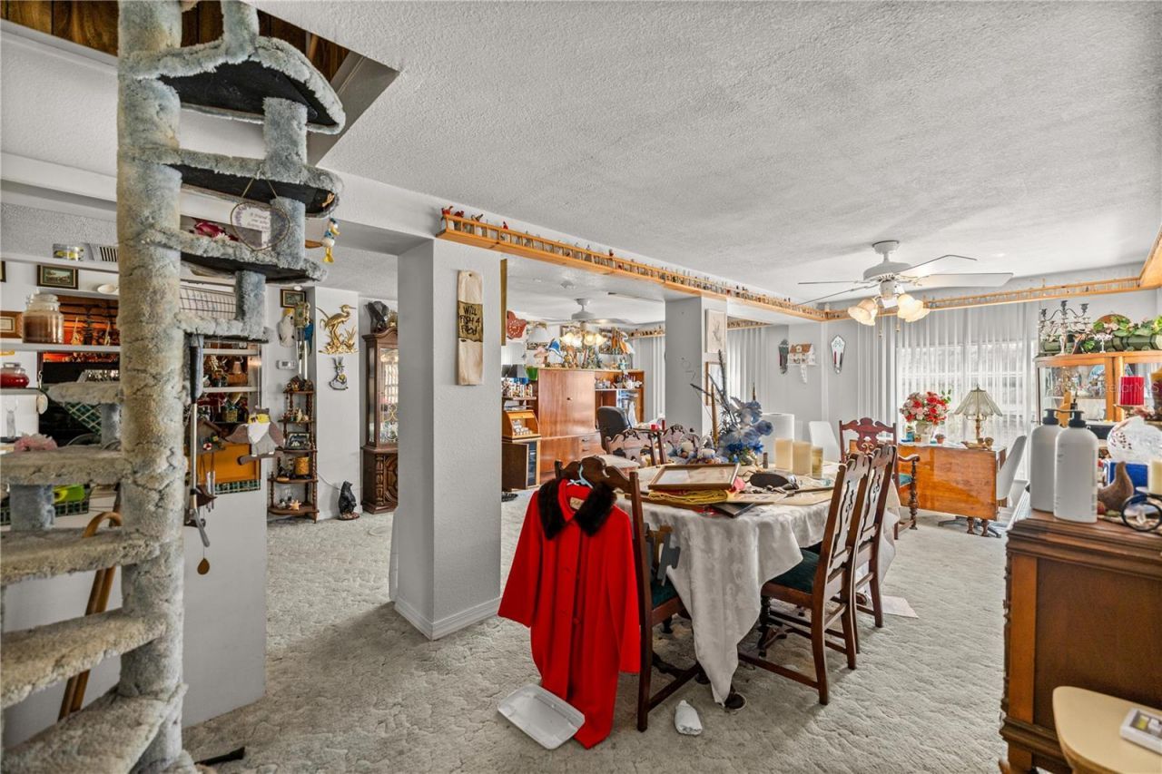 17645 NE 61st Street Road, Silver Springs, FL 34488 Photo