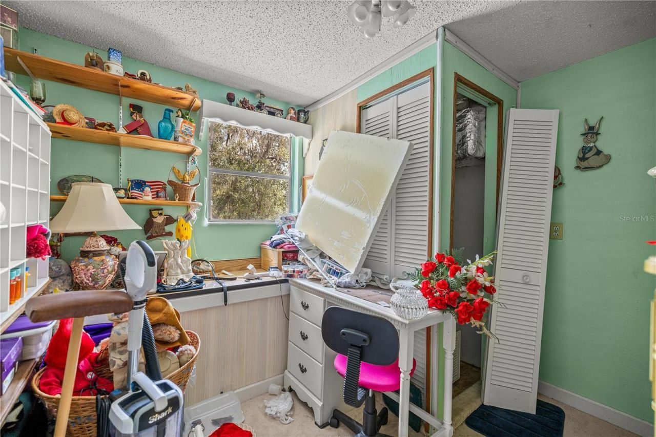 17645 NE 61st Street Road, Silver Springs, FL 34488 Photo