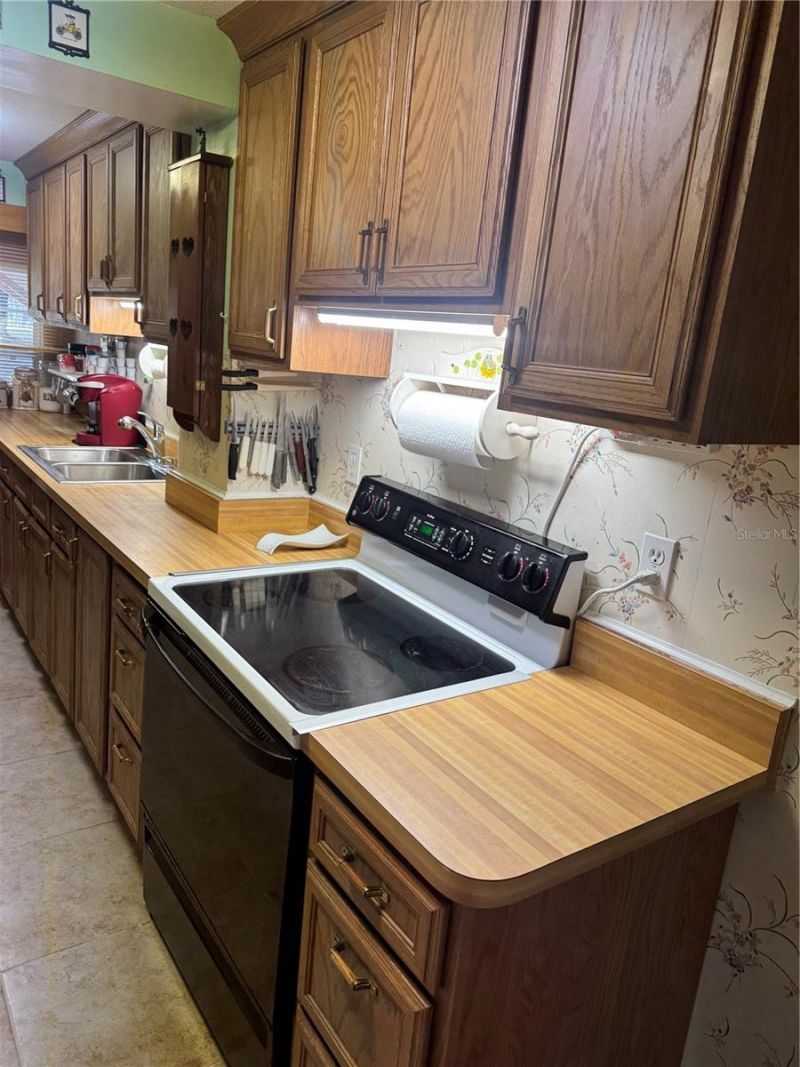 17645 NE 61st Street Road, Silver Springs, FL 34488 Photo