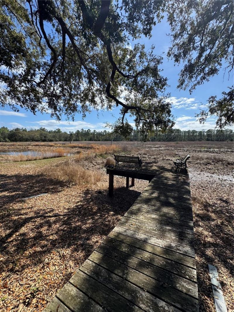 17645 NE 61st Street Road, Silver Springs, FL 34488 Photo