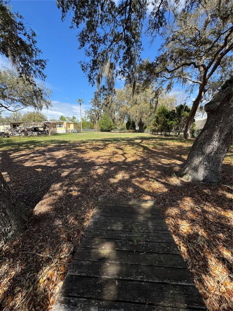 17645 NE 61st Street Road, Silver Springs, FL 34488 Photo