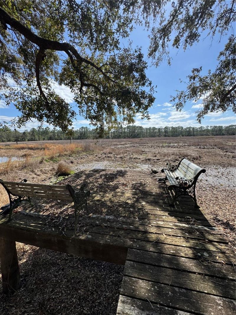 17645 NE 61st Street Road, Silver Springs, FL 34488 Photo