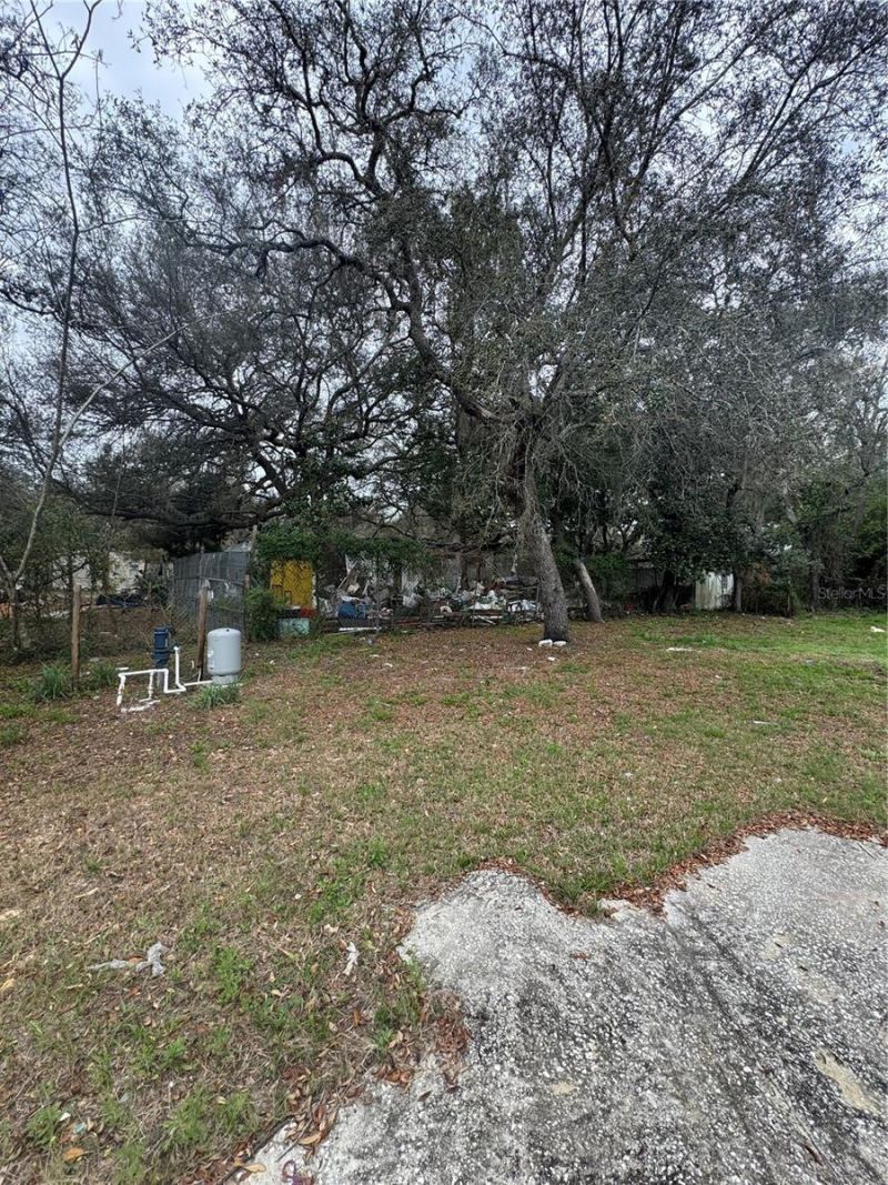 17645 NE 61st Street Road, Silver Springs, FL 34488 Photo
