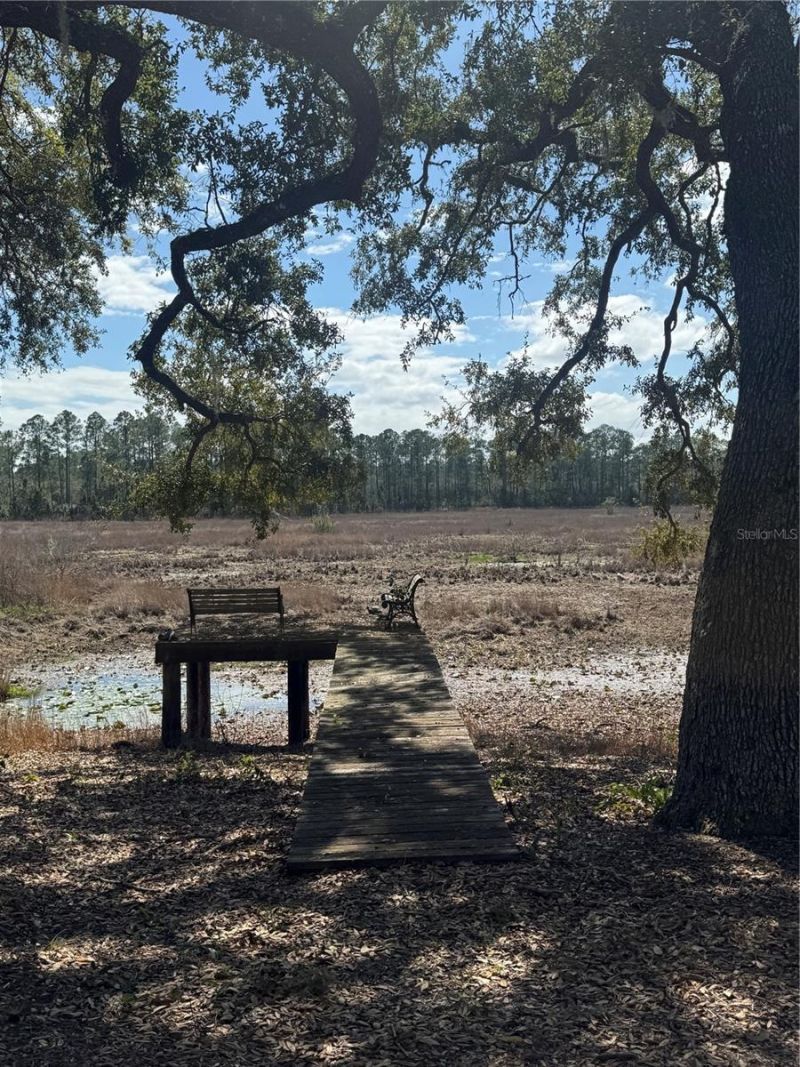 17645 NE 61st Street Road, Silver Springs, FL 34488 Photo