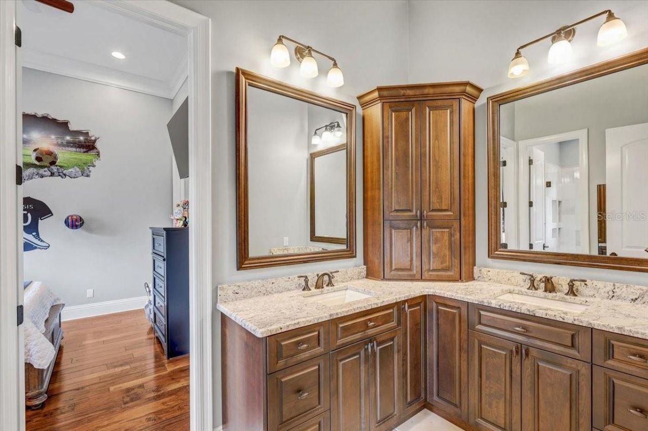 2620 Tylers River Run, Lutz, FL 33559 Photo