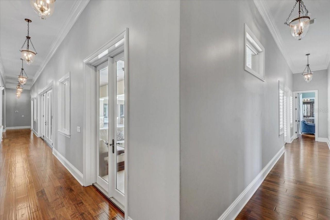 2620 Tylers River Run, Lutz, FL 33559 Photo