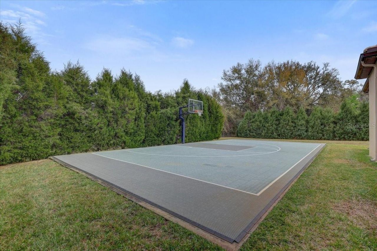 2620 Tylers River Run, Lutz, FL 33559 Photo