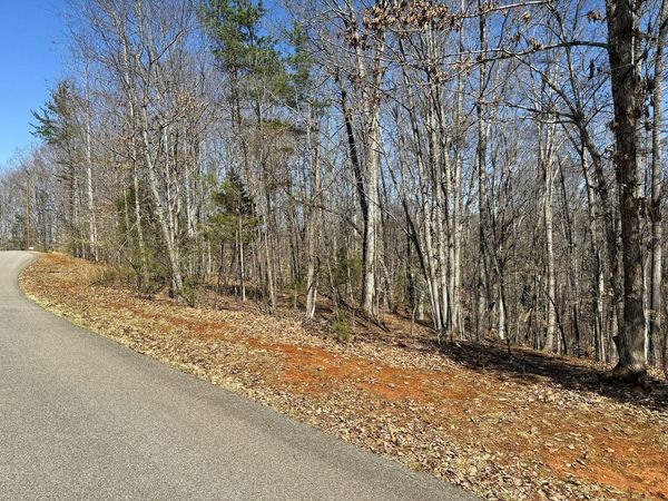 Lot 17 Gap Bridge RD , Moneta, VA 24121
