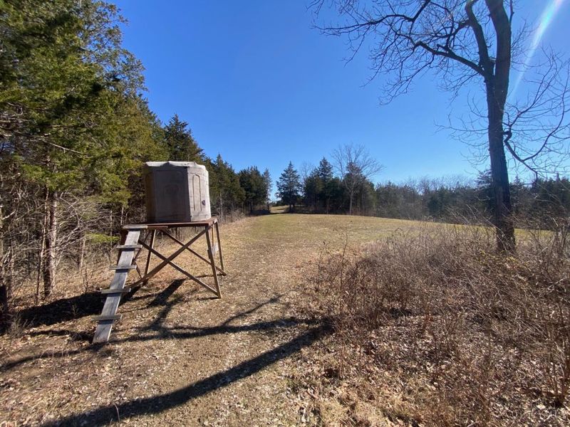 325 Old State Road, Manchester, OH 45144 Photo 10