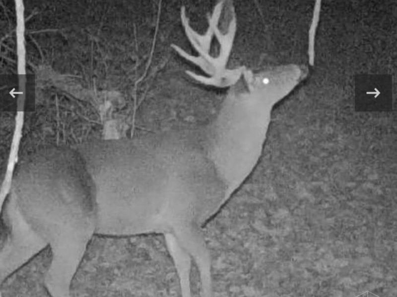 325 Old State Road, Manchester, OH 45144 Photo 17