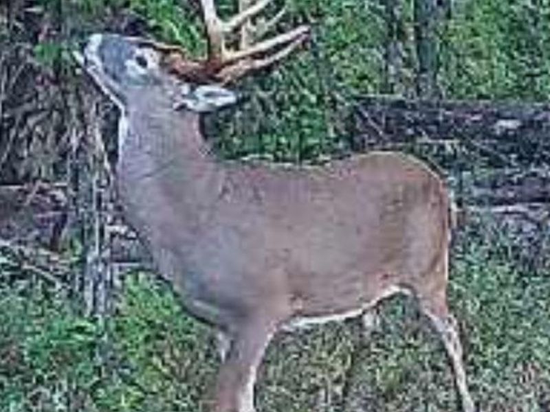 325 Old State Road, Manchester, OH 45144 Photo 18