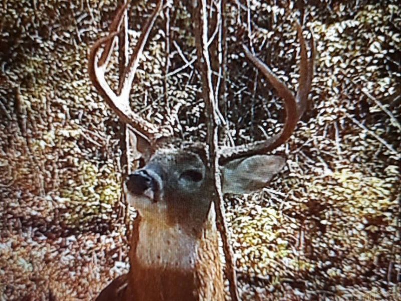 325 Old State Road, Manchester, OH 45144 Photo 19