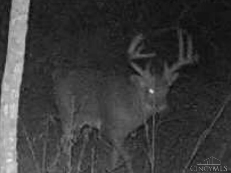 325 Old State Road, Manchester, OH 45144 Photo 22