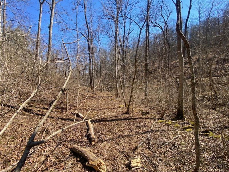 325 Old State Road, Manchester, OH 45144 Photo 7