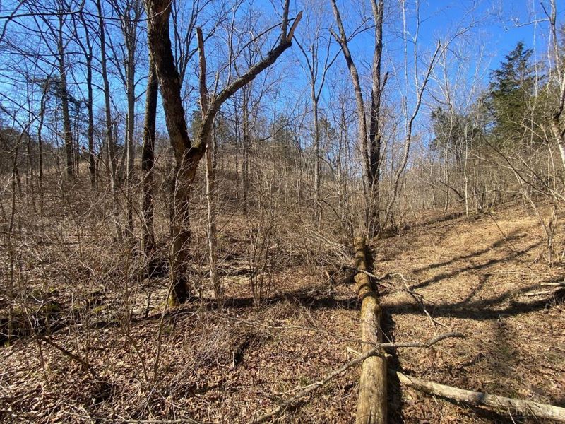 325 Old State Road, Manchester, OH 45144 Photo 8