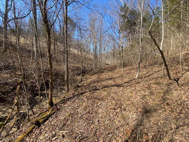 325 Old State Road, Manchester, OH 45144 Photo 9