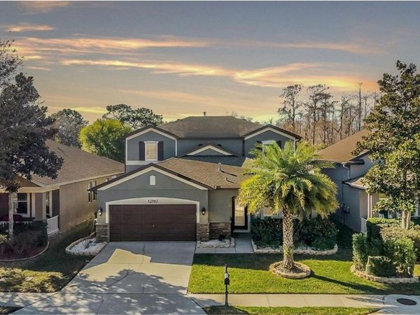 12902 TIKAL WAY, TRINITY, FL 34655