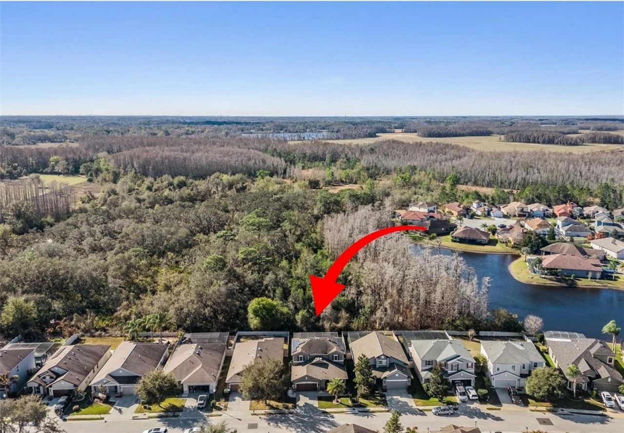 12902 Tikal Way, Trinity, FL 34655 Photo