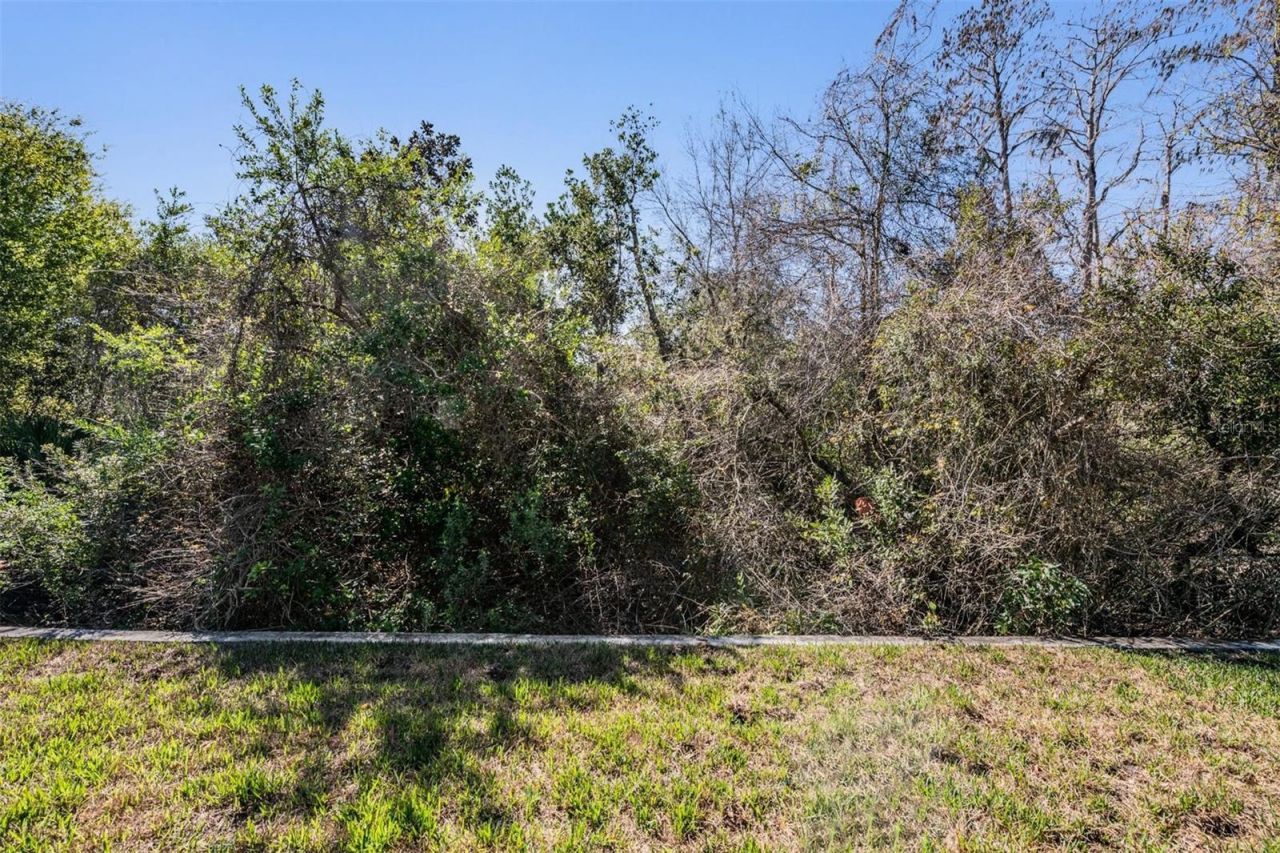 12902 Tikal Way, Trinity, FL 34655 Photo