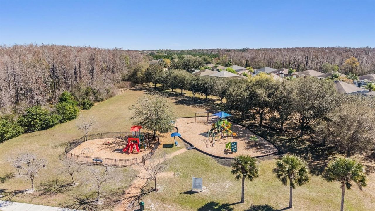 12902 Tikal Way, Trinity, FL 34655 Photo