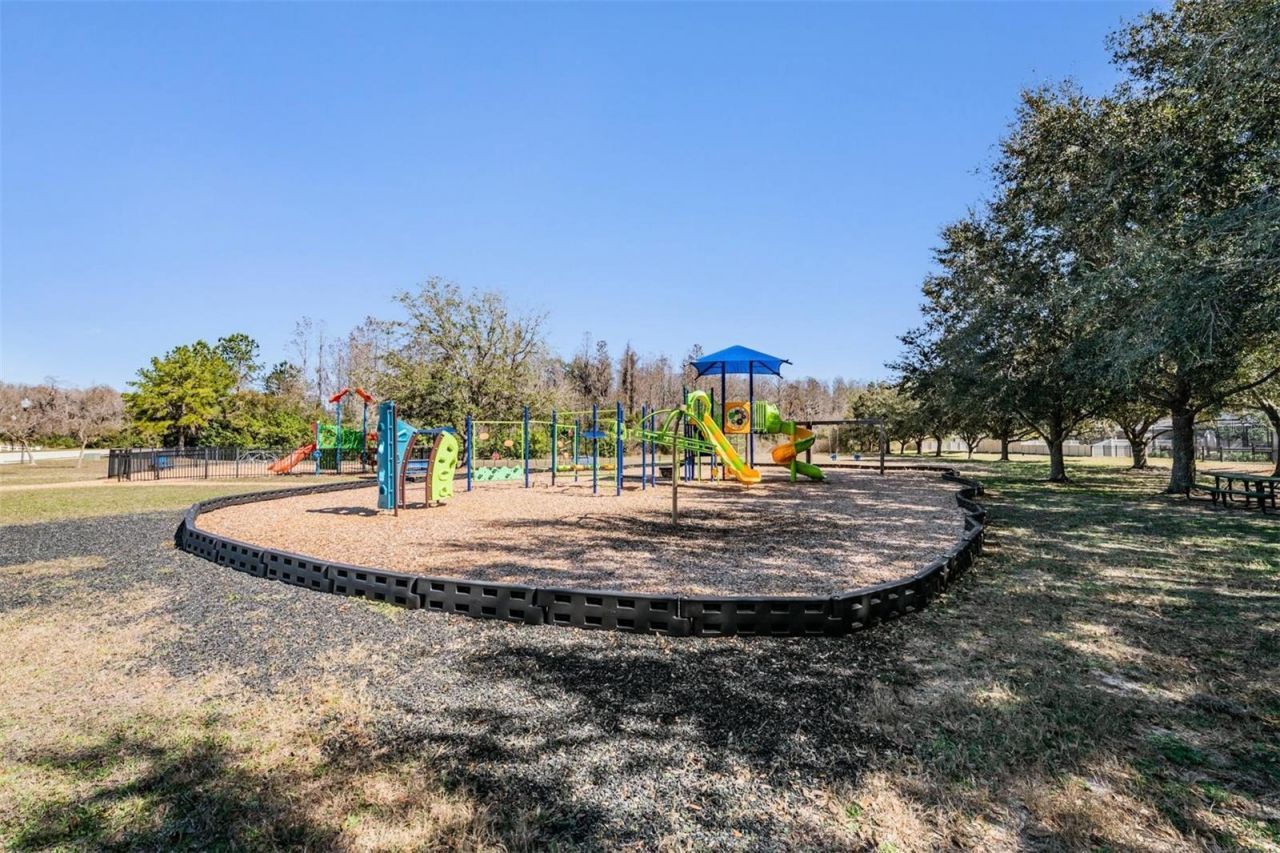 12902 Tikal Way, Trinity, FL 34655 Photo