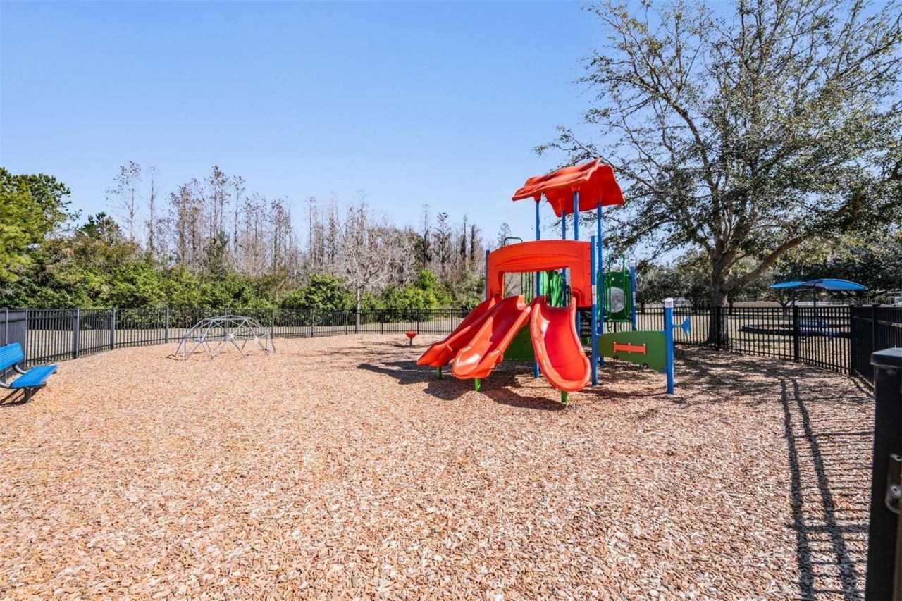 12902 Tikal Way, Trinity, FL 34655 Photo