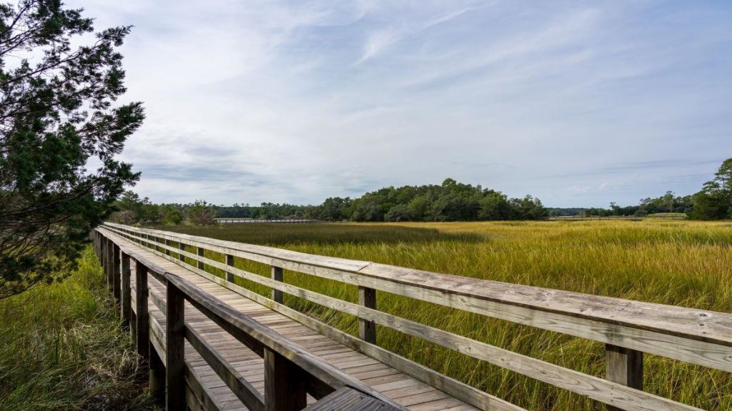 459 Blissful Dr Photo 33