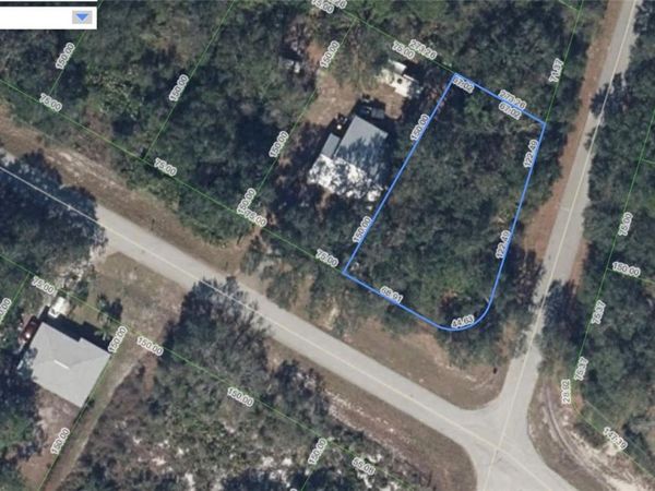 336 PERSHING AVENUE, LAKE PLACID, FL 33852