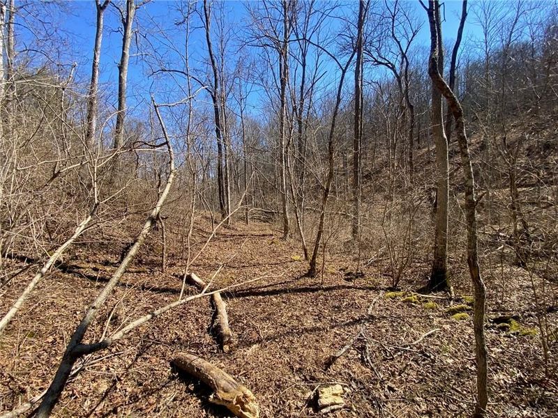 43 Old State Road, Manchester, OH 45144 Photo 7