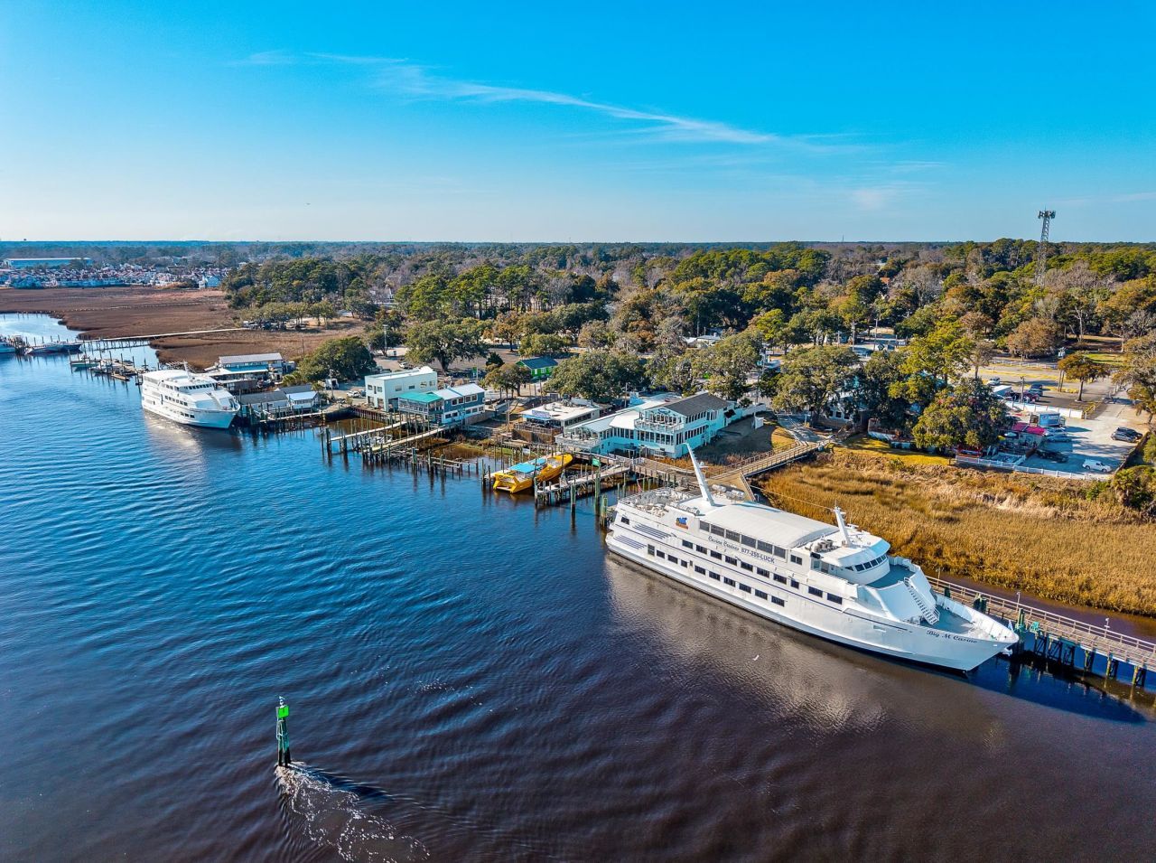 3134 White Jasmine Dr. Photo 51