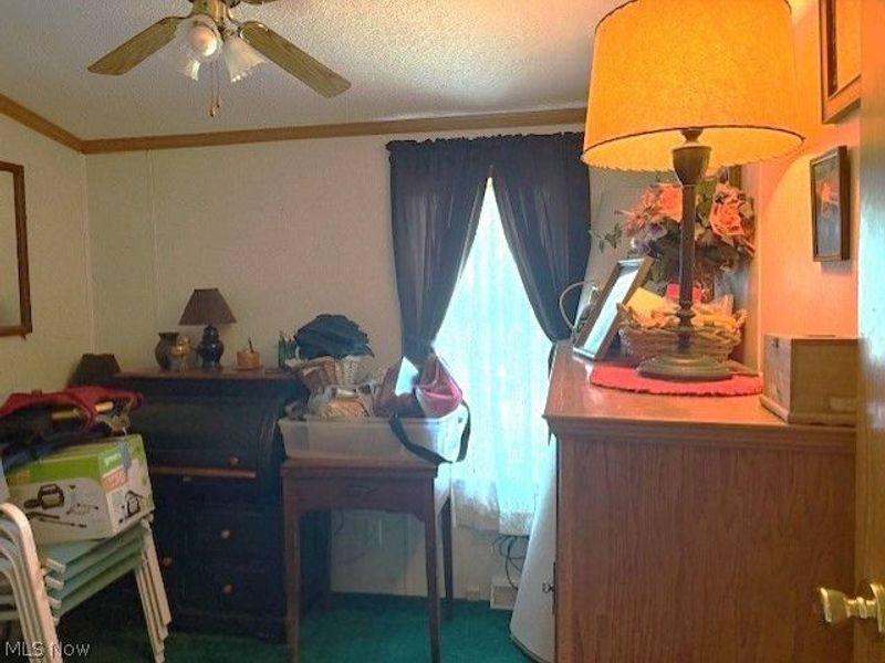 942 Township Rd 199, Bloomingdale, OH 43910 Photo 26