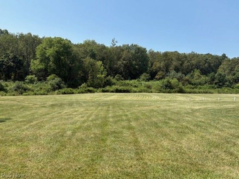 942 Township Rd 199, Bloomingdale, OH 43910 Photo 34