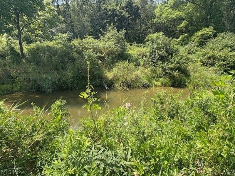 942 Township Rd 199, Bloomingdale, OH 43910 Photo 36