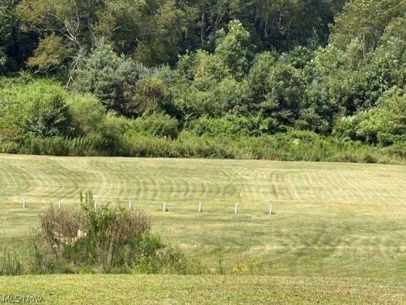 942 Township Rd 199, Bloomingdale, OH 43910 Photo 7