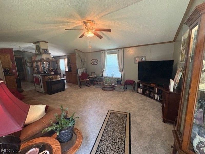 942 Township Rd 199, Bloomingdale, OH 43910 Photo 8