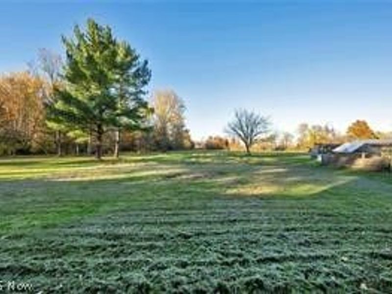 34918 Chestnut Ridge Road, North Ridgeville, OH 44039 Photo 2